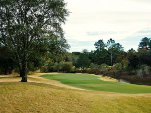 Fallen Oak 7th Fairway